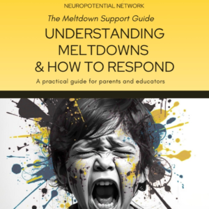 Meltdown Guide